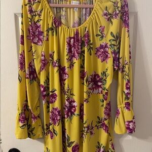 Susan Graver Stretch blouse